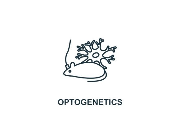 Optogenetics Icon Review for Embroidery Projects